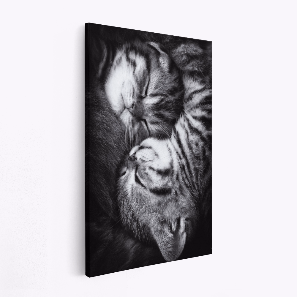 Leinwandbild - Yin and Yang