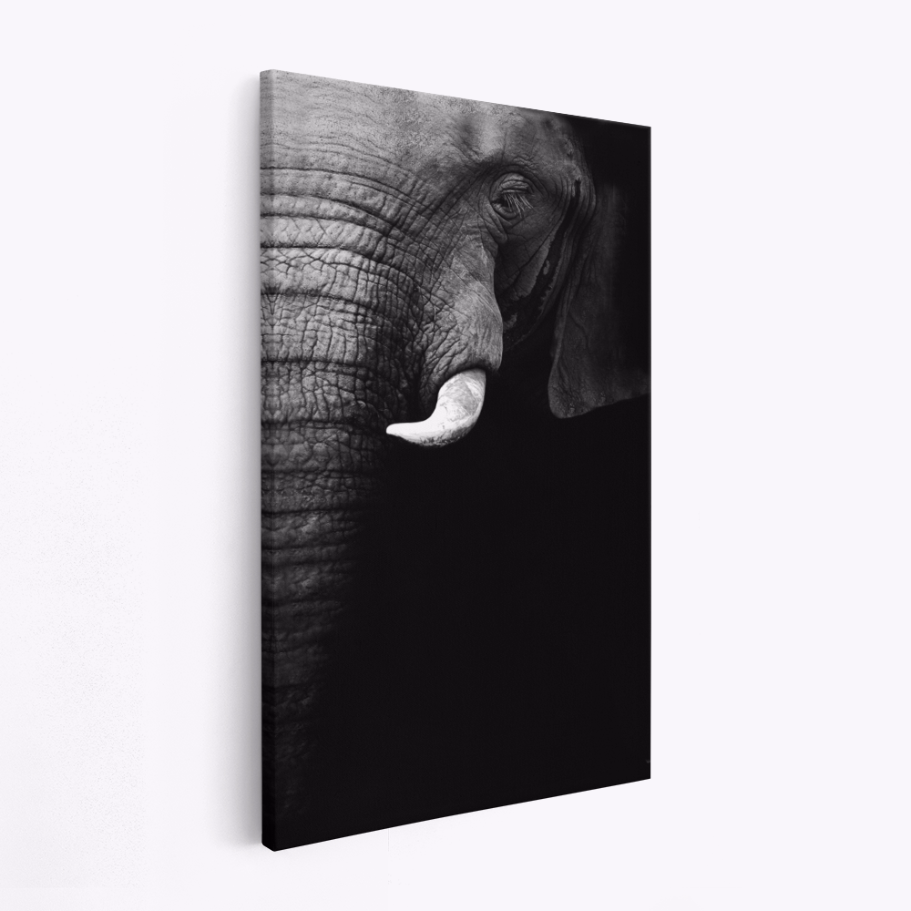 Leinwandbild - Elephant Portrait