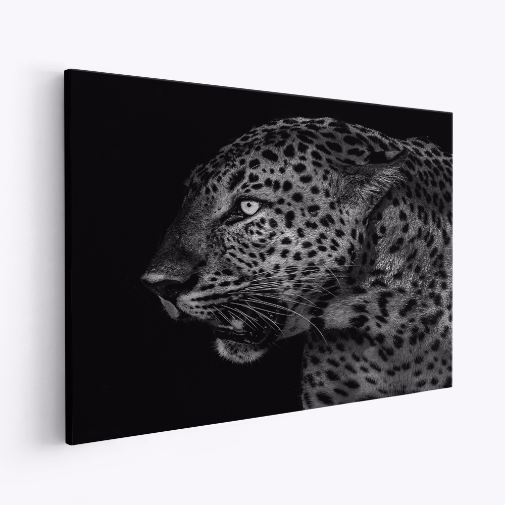 Leinwandbild - Leopard's Gaze