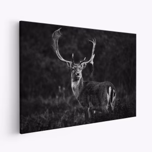 Leinwandbild - Ready for the love season