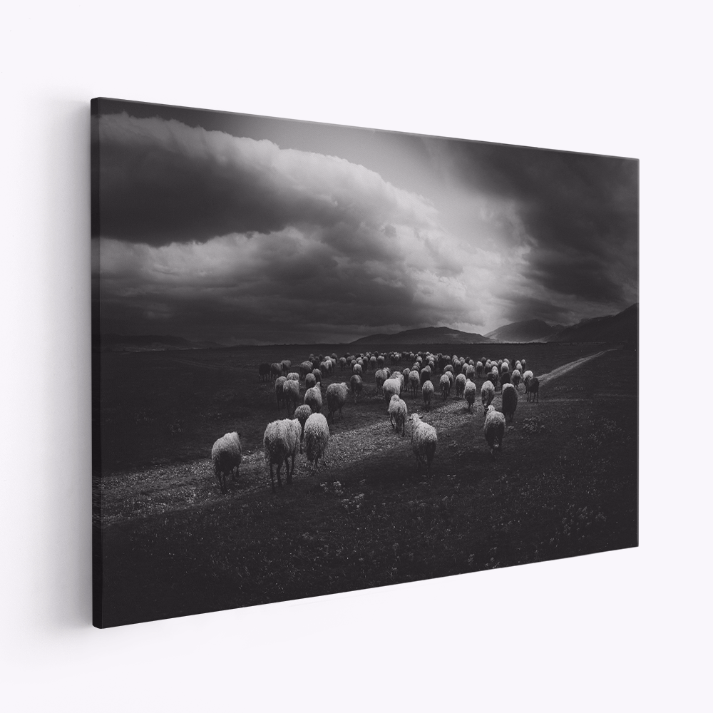 Leinwandbild - Storm's Advance