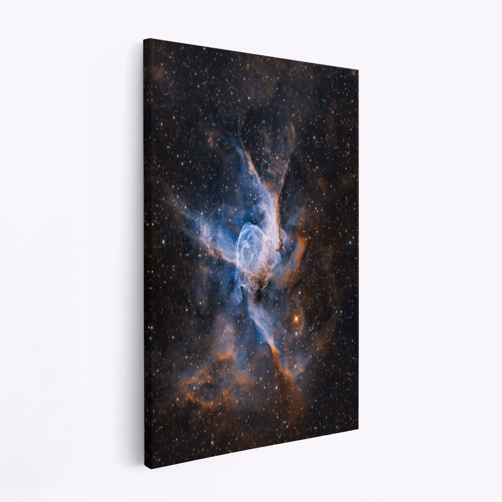 Leinwandbild - Thor's helmet