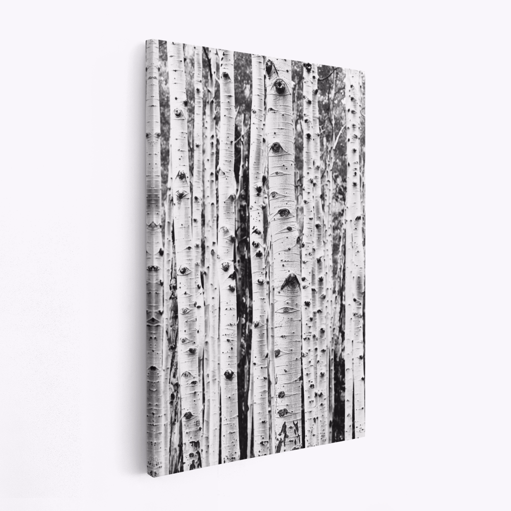Leinwandbild - Birches