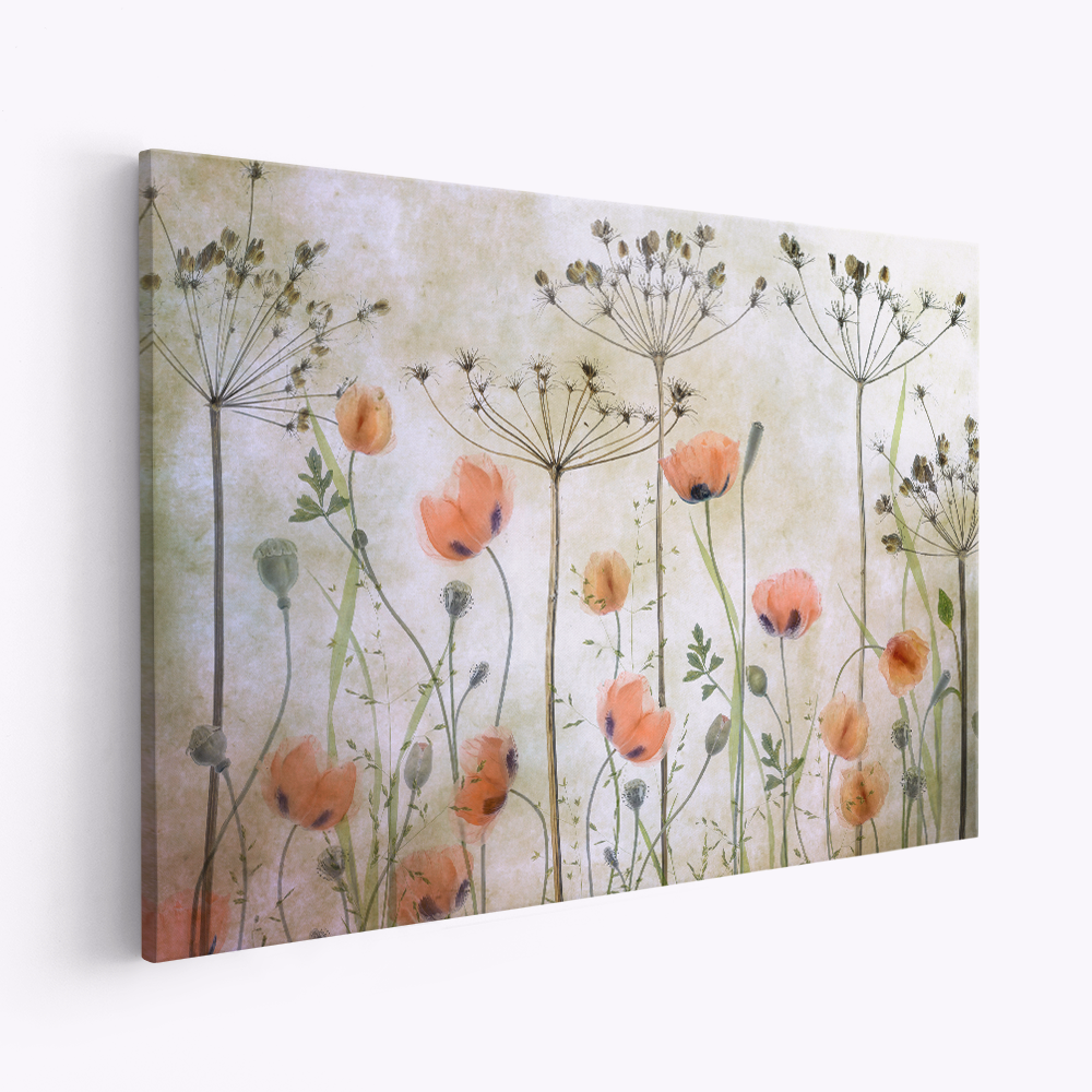 Leinwandbild - Poppy Meadow