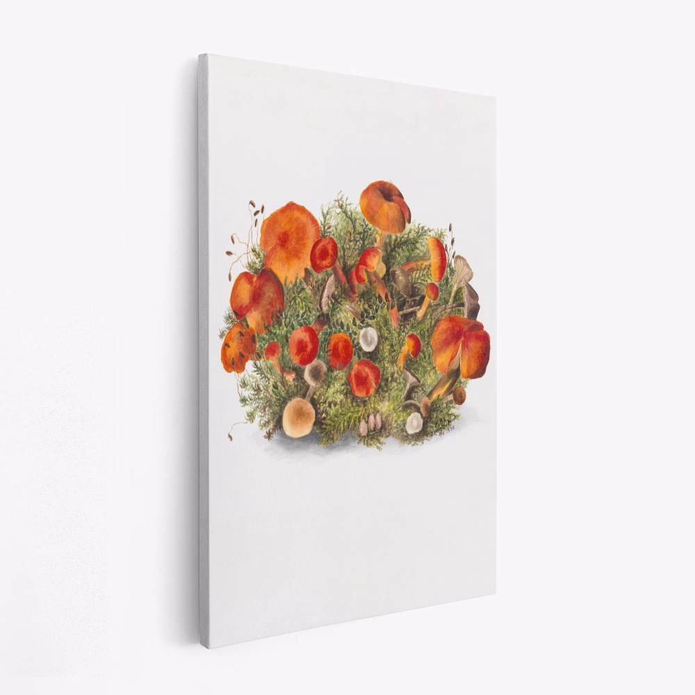 Leinwandbild - Study of Mushrooms (1880) Portrait Mode