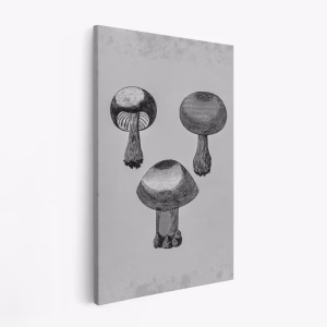 Leinwandbild - Violet Webcap Mushroom