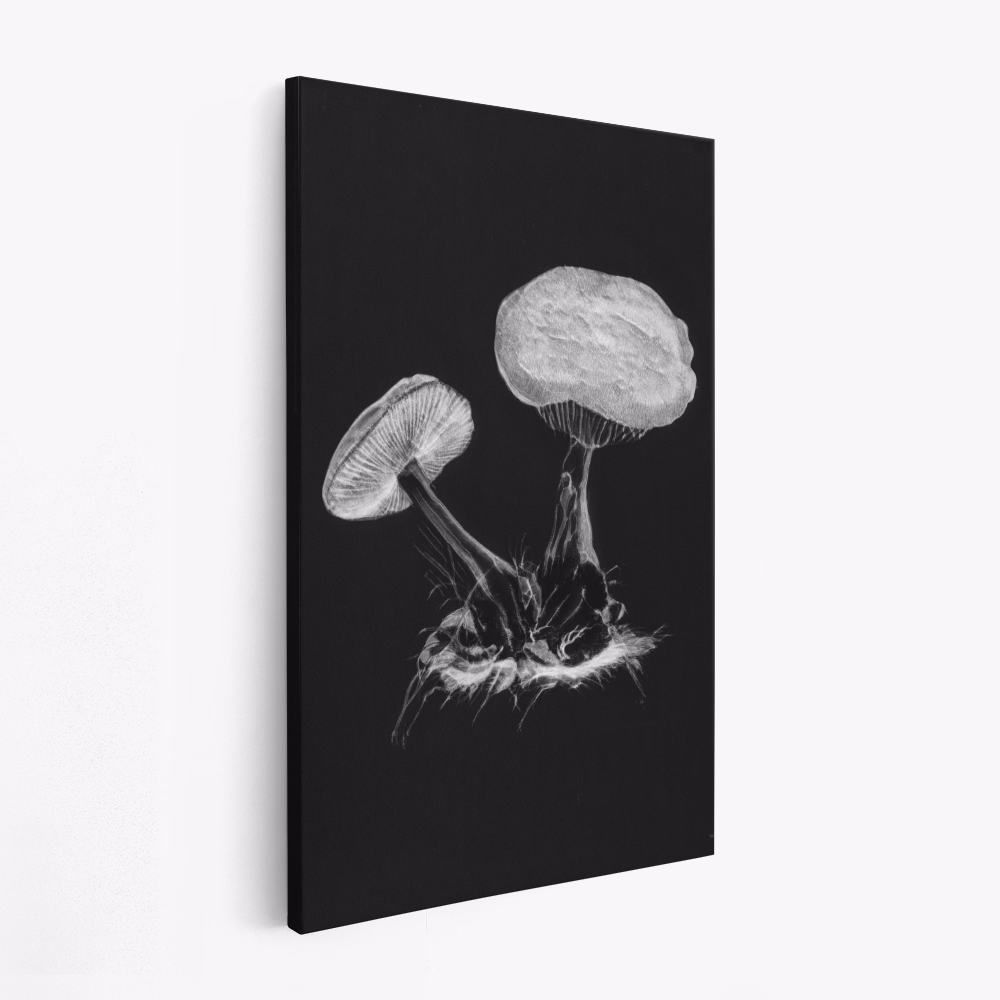 Leinwandbild - Vintage Violet Webcap Mushroom Dark BW