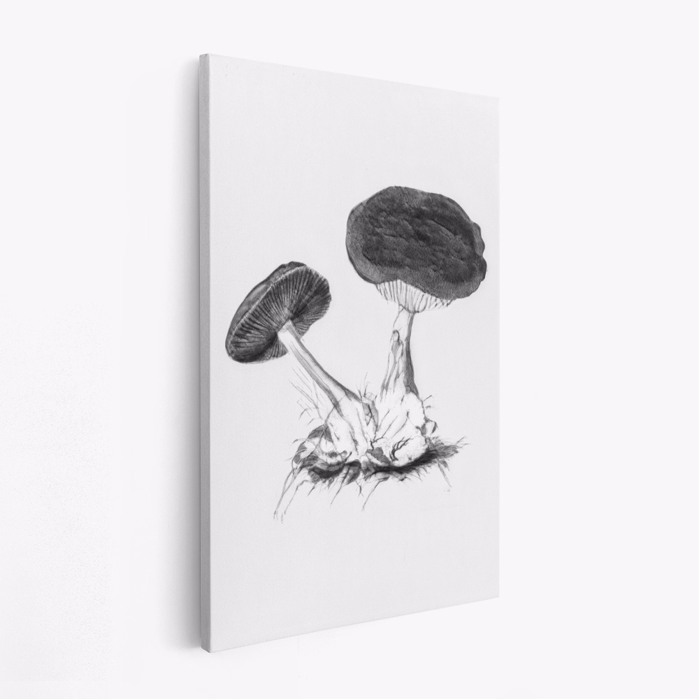 Leinwandbild - Vintage Violet Webcap Mushroom Bright BW