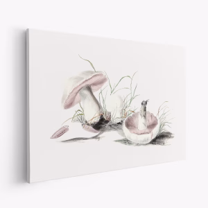 Leinwandbild - Hand Drawn Field Mushroom