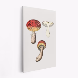 Leinwandbild - Hand Drawn Fly Agaric Mushroom