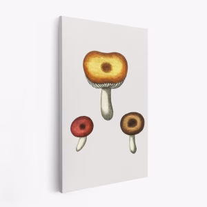 Leinwandbild - Hand Drawn Galerina Mushroom