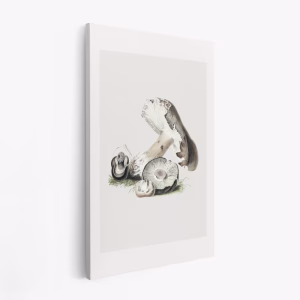 Leinwandbild - Vintage Agaricus Augustus Mushroom 50x70