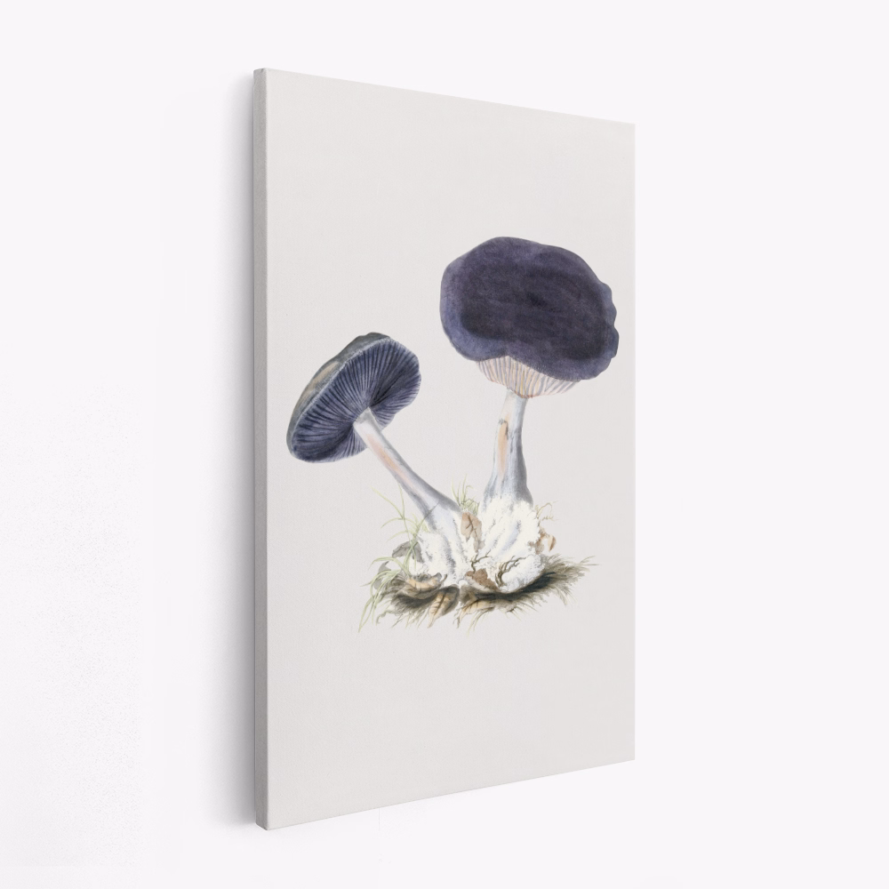 Leinwandbild - Vintage Violet Webcap Mushroom