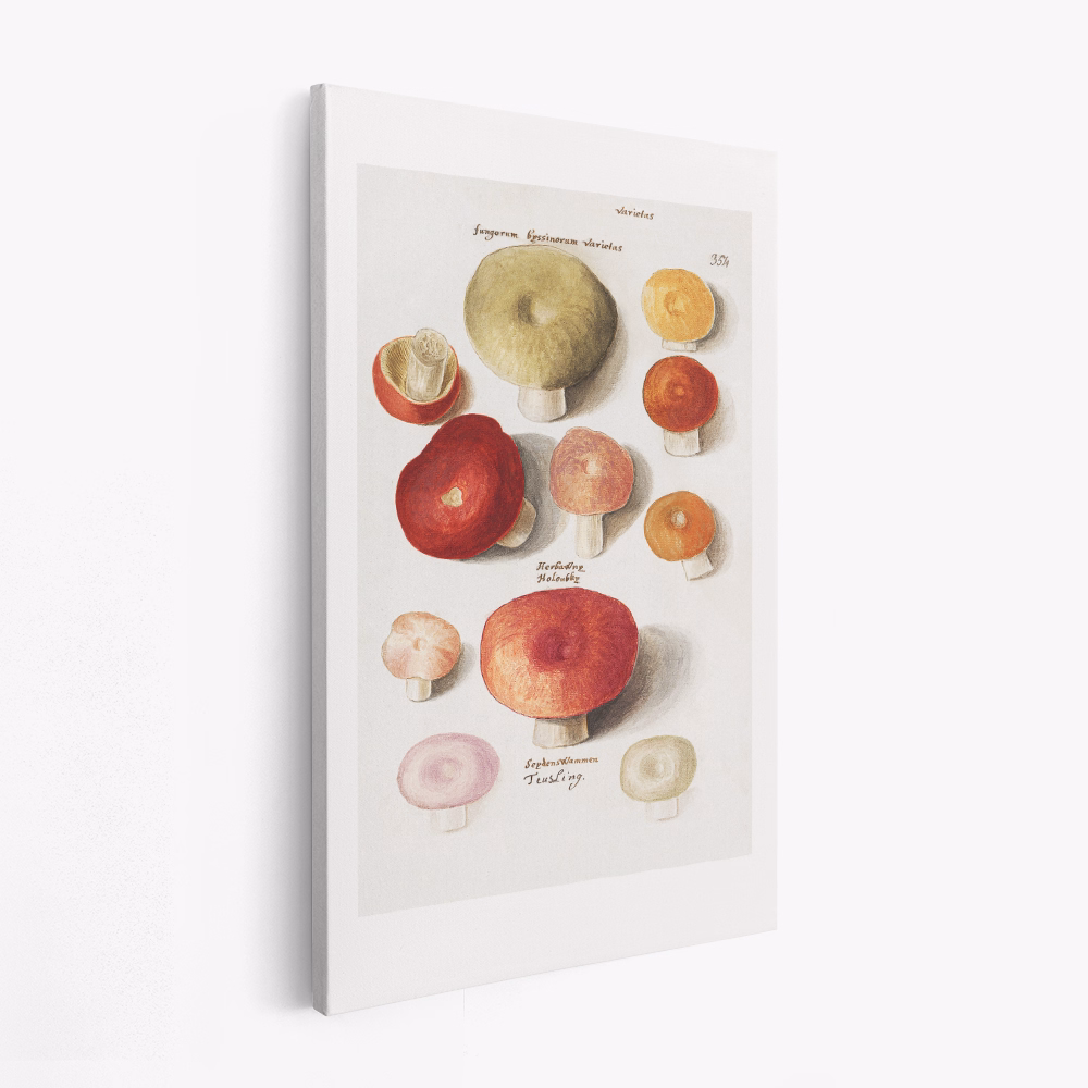 Leinwandbild - Boleten, Boletales Standing